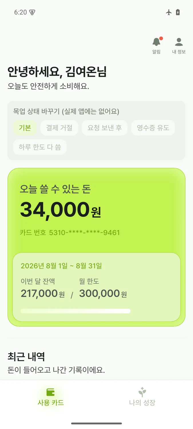 오늘 쓸 수 있는 금액과 카드 내역을 보여주는 이용자 화면 예시